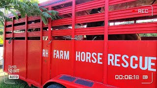 Emergency HORSE SURRENDER Pickup | We Needed 2 Trailers!