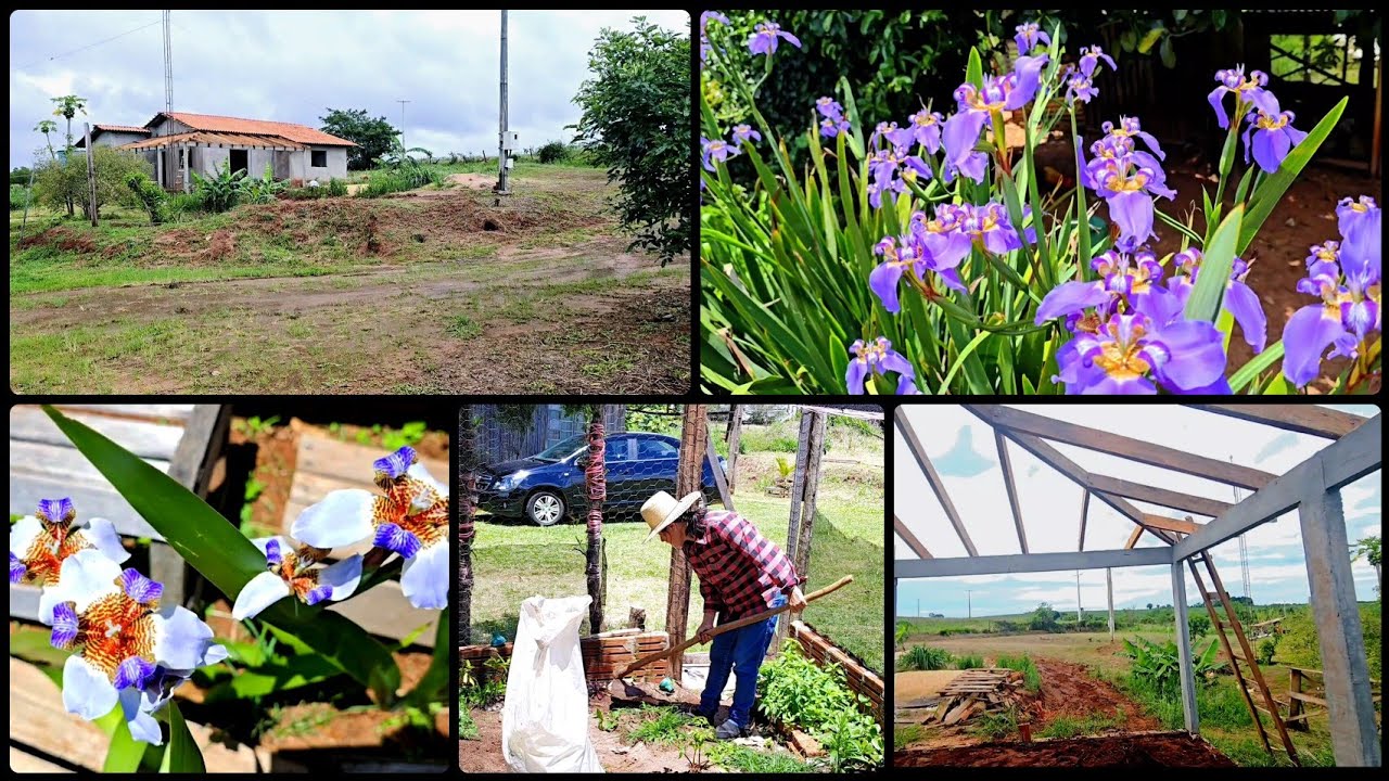 CONSTRUINDO NOSSO SONHO AQUI NA ROÇA 🏠  dia de carpir, lindas flores 💐 