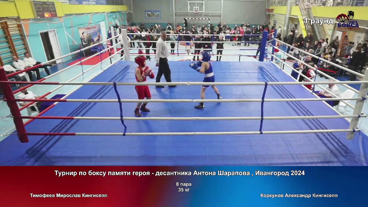 Спортивная федерация бокса санкт петербурга