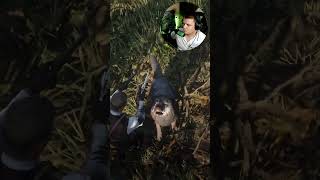 Нападение волков | #pashkapolter #rdr2 #прохождение #shorts #момент