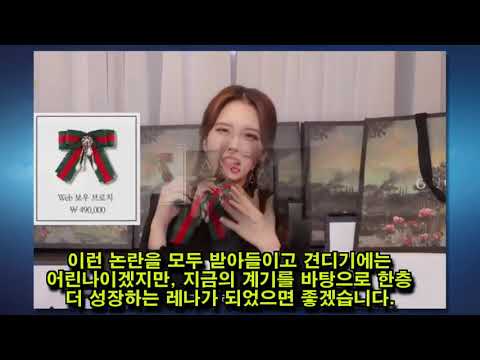 유튜버 레나..근황 논란 사건정리. 뉴스 공유
