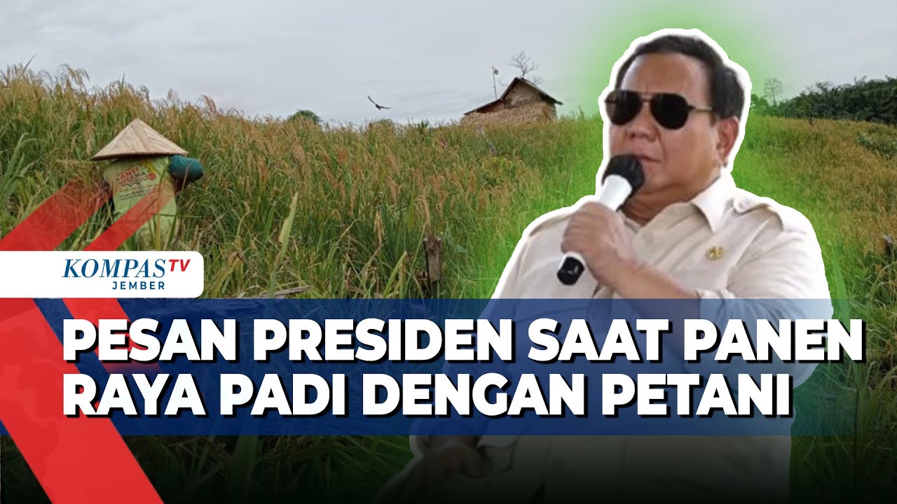 Presiden Prabowo Panen Raya Bareng Petani: Indonesia Siap Jadi Lumbung Pangan Dunia!