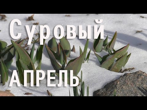 Winter is coming unexpectedly - let's prepare the chicken coop