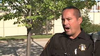 Safety warning for drivers as deer activity increases