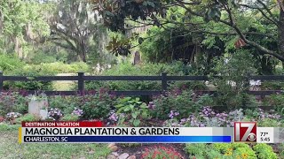 Destination Vacation: Beautiful garden to tour in Charleston