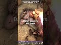 Damn Spiders and Birds. #gaming #7daystodie #permadeath #zombies