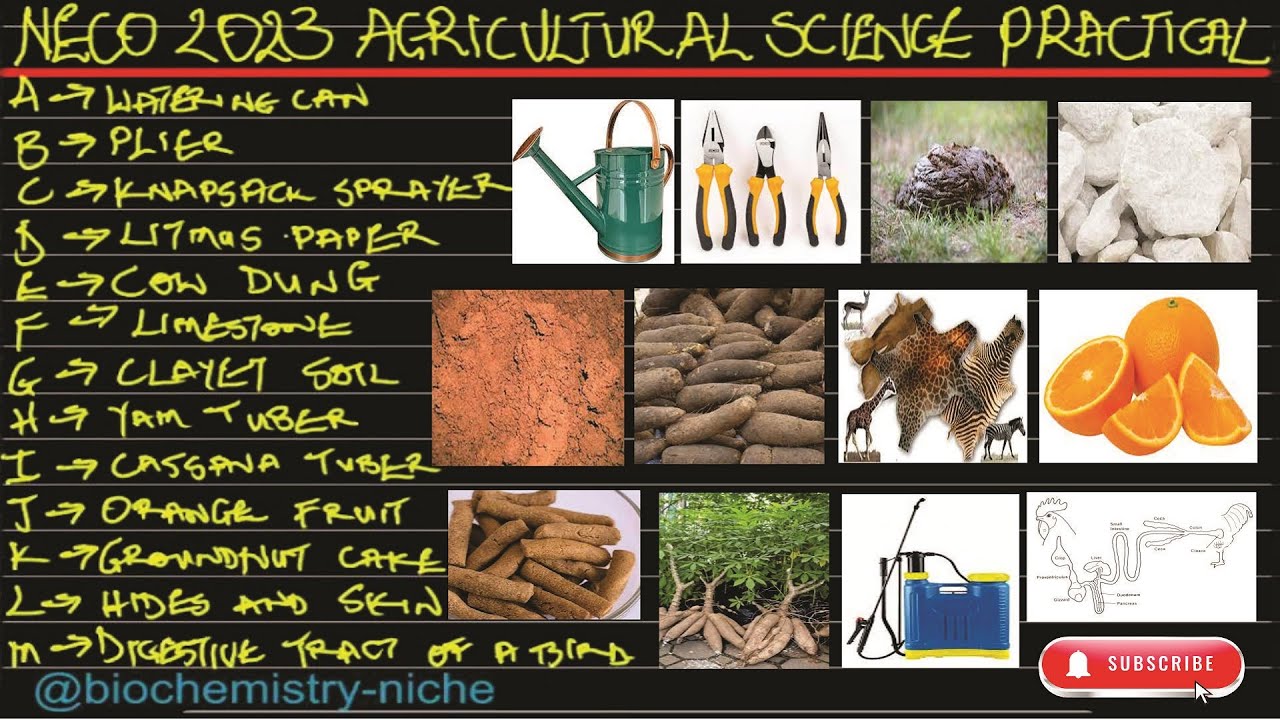 neco agricultural science objective and essay
