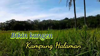 Download Lagu Suasana indah di pedesaan || suara burung tekukur di iringi suara kecapi suling sunda Download Lagu Suasana indah di pedesaan || suara burung tekukur di iringi suara kecapi suling sunda