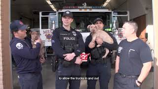 Engine 211 and Mesa Police Department Rescue Puppies