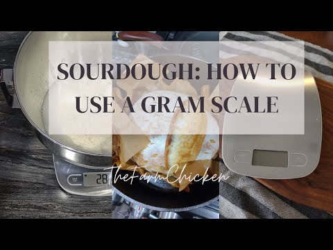 Sourdough How to Use a Gram Scale/Digital Kitchen Scale