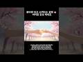 봄바람 타고 스며드는 설렘 🌸 씨티팝 감성 제대로