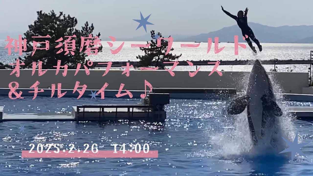 神戸須磨シーワールド　オルカパフォーマンス　2026.2.26 14:00