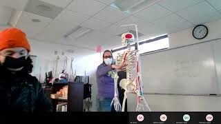Bio 207 lab  1