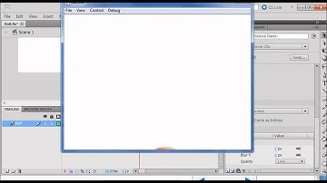 TCH016 Flash Animation Project 3 part 2