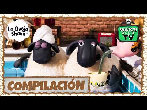 ¡DISFRUTEMOS DE LA PISCINA CON ESTE CALOR! ☀️🏊💦 | La Oveja Shaun (Dibujos Animados Para Niños)