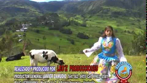 LUCESITA DEL AMOR - SANTA  CRUCINA