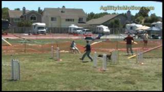 20100529-wings-isc.wmv