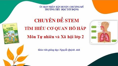 Chuyên đề STEM môn Tự nhiên và Xã hội lớp 2 - Tìm hiểu cơ quan hô hấp