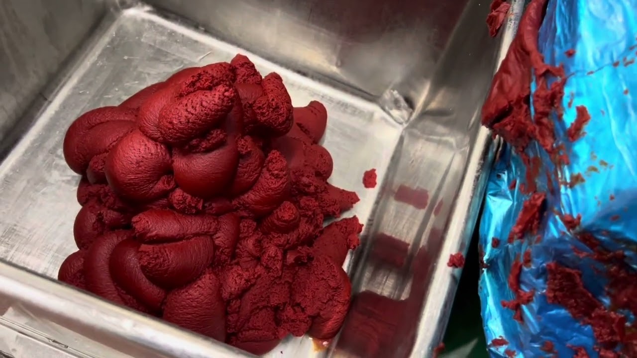 Tomato Puree Transfer Pump