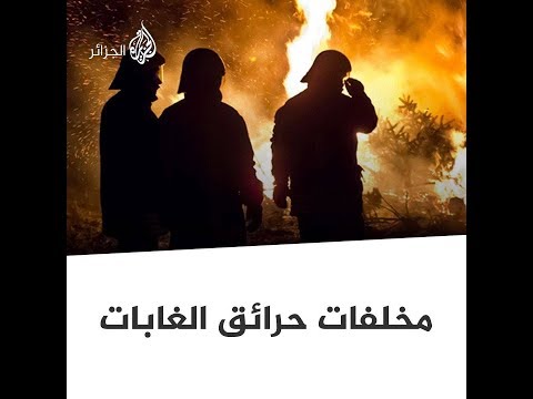 🇩🇿 صور مخلفات الحرائق في الغابات تثير حزن الجزائريين و"مافيا الفحم" في قفص الاتهام