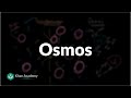 Osmos | Membranalar va transport | Biologiya