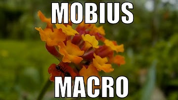 Mobius action cam: Focus adjustment for macro. RCHacker #71