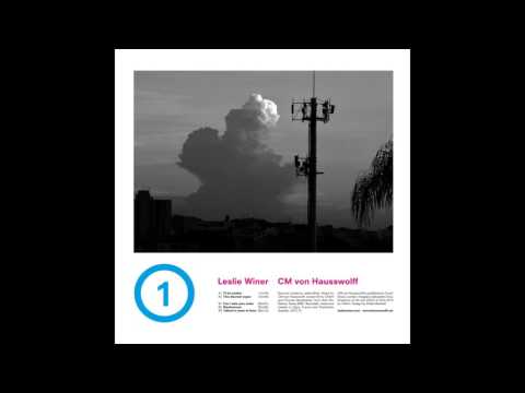 Leslie Winer / Carl Michael von Hauswolff - Can I Take Your Order