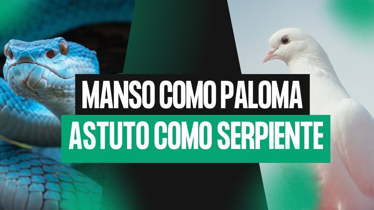 Manso como paloma, astuto como serpiente. - YouTube