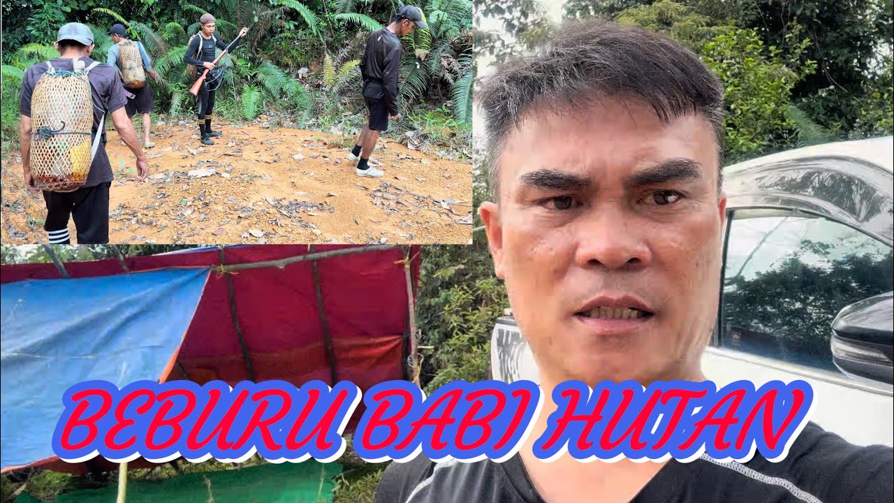 Misi Beburu Babi Hutan Di Hutan Belantara.