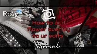 How to add flower overlay to ur edits | Ruby Muse 𐙚₊˚ |  #fypシ゚viral #Rubymuse  #100k #subscribe screenshot 5