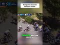 Kangaroo Crashes Cycling Race! Unbelievable Wildlife Hazard