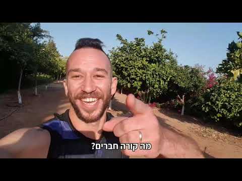 קורות חיים? ככה עושים את זה נכון בעולם הפרסום