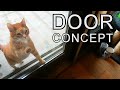 Alvi cat : door concept