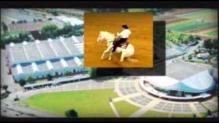an-eventful-life.com.au World Equestrian Games Normandy 2014 screenshot 4