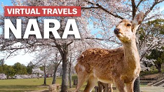 Virtual Travels in Nara | japan-guide.com