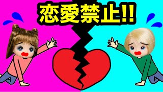 【恋愛禁止】ルールを破ると罰がある!? クラスも分けられて女子と男子が離れ離れ・・・