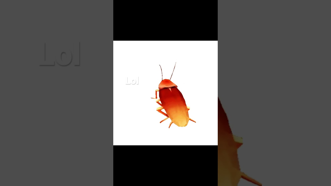 Dancing cockroach Sound