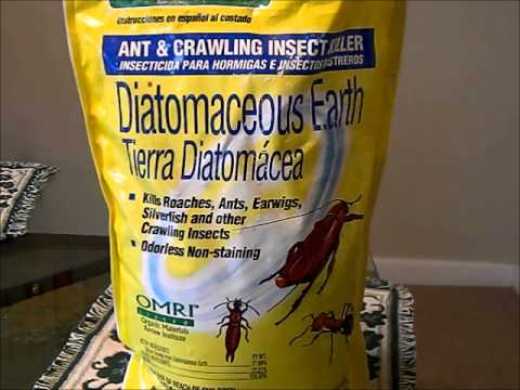 Diatomaceous Earth (DE Powder), the Miracle Organic Insecticide ...