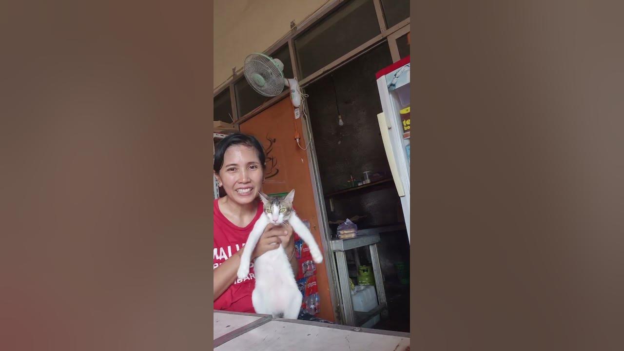 little baby #oldies #song #vintage #suscribeformore #cat #imut #kucing #kucinglucu #singer #pets