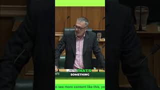 Representation Commission_ Key Timelines and Maori Electorates Explained