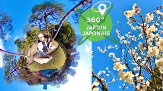 JAPON VR 360° Jardin japonais Koishikawa Kōrakuen : Des carpes au Ume matsuri Floraison des pruniers