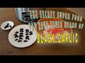 SUPER FOOD! How to Make BLACK GARLIC so EASY