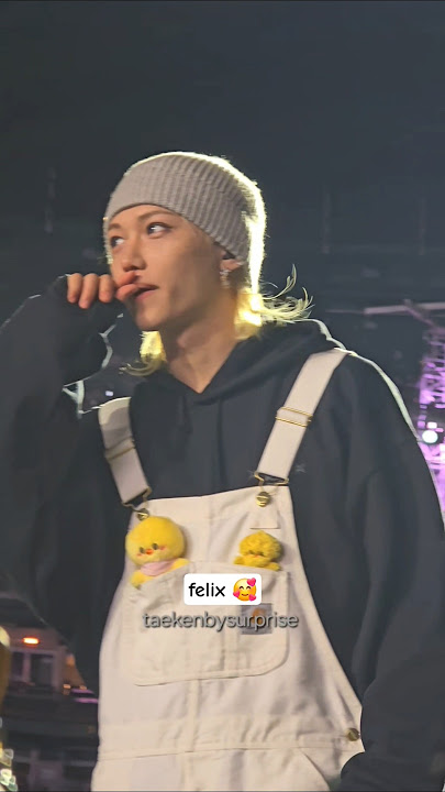 when felix is in front your pit section at the stray kids concert