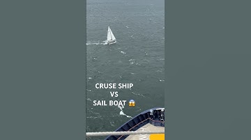 WTF is he doing!!! 3+ Mio views 😱 #cruiseship #viralshort