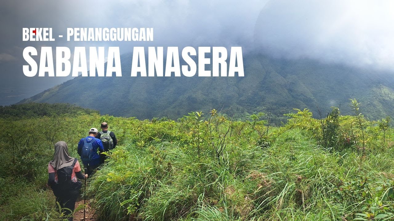 Sabana Anasera – Savana Tersembunyi di Puncak Gunung Bekel Penanggungan