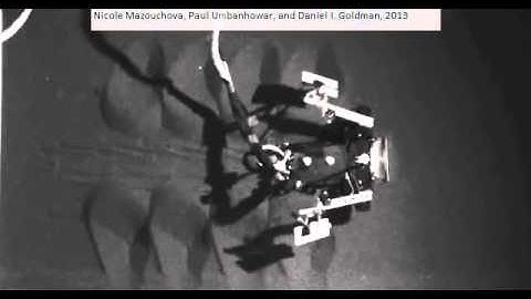 FlipperBot good rigid flipper performance