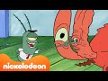 Bob Esponja | Plankton Assume o Siri Cascudo! | Nickelodeon em Português