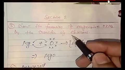 cbse board exam 2019 class 10 science paper solution