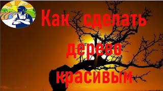 Как сделать дерево красивым.