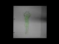 Ethan Erickson Rotoscope Update